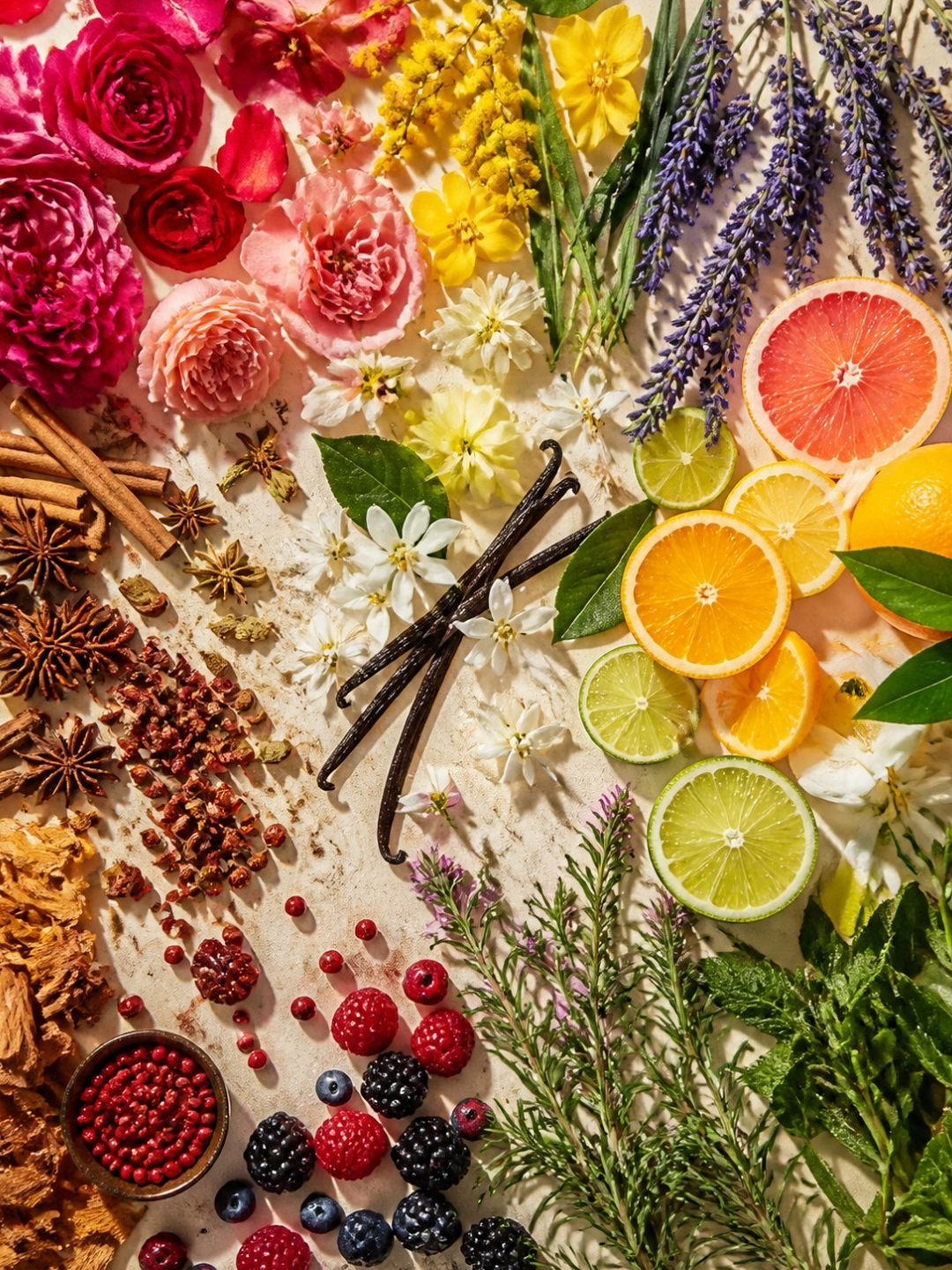 Materias primas de perfumería: rosas, lavanda, jazmín, cítricos, vainilla, especias y frutos rojos